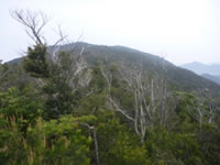 山口市秋穂の大海山、勘十郎岳の周遊コース